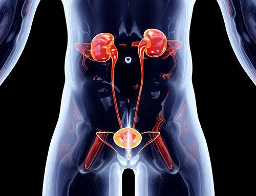 Urologie